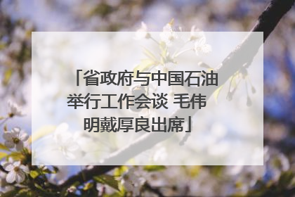 省政府与中国石油举行工作会谈 毛伟明戴厚良出席
